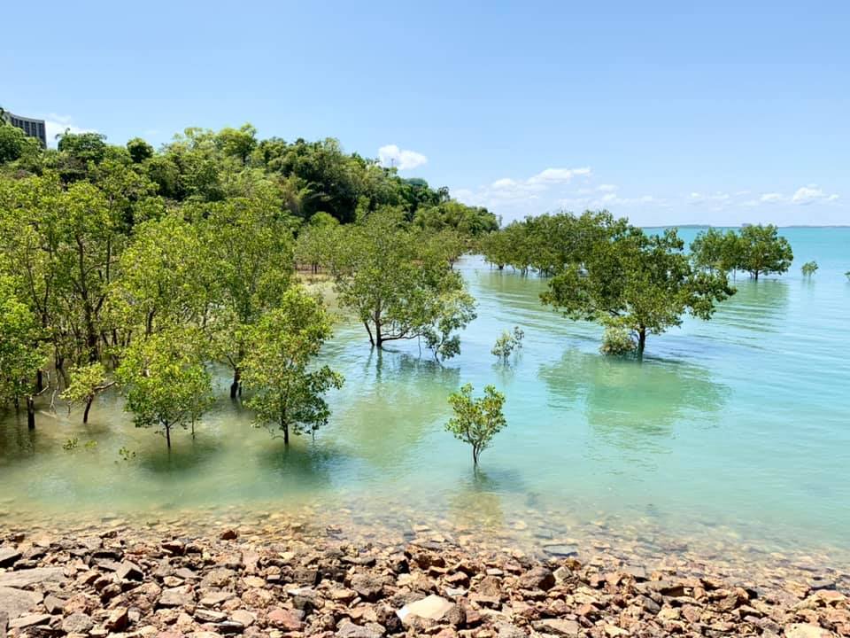 au bord de l'eau à Darwin