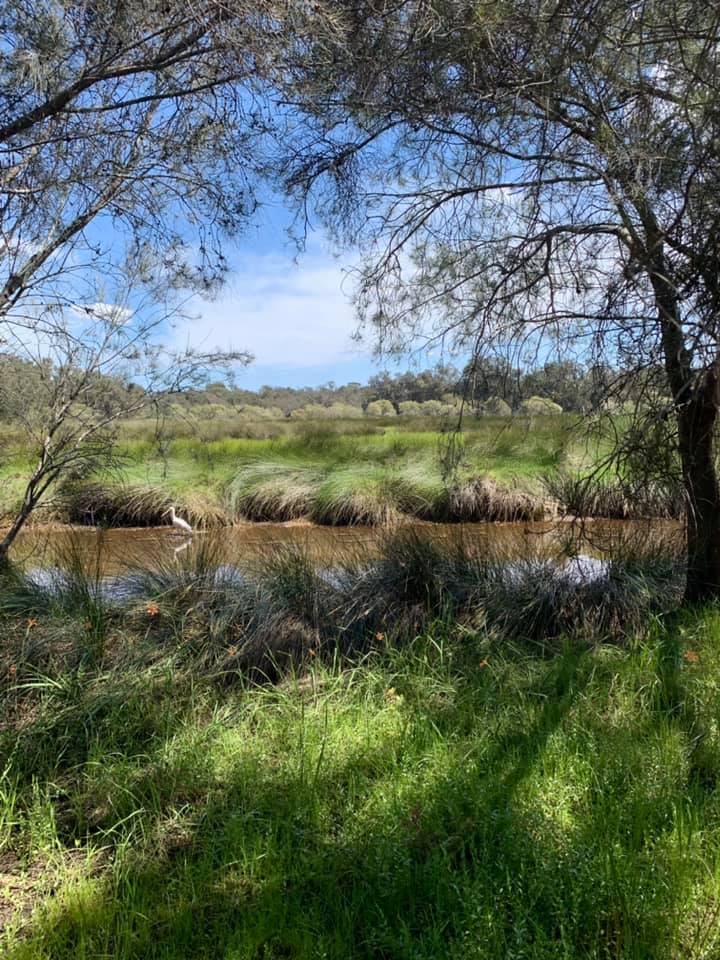 Canning River Regional Park