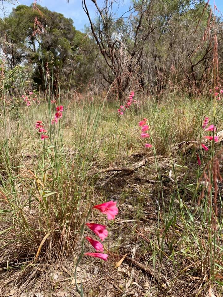 Canning River Regional Park