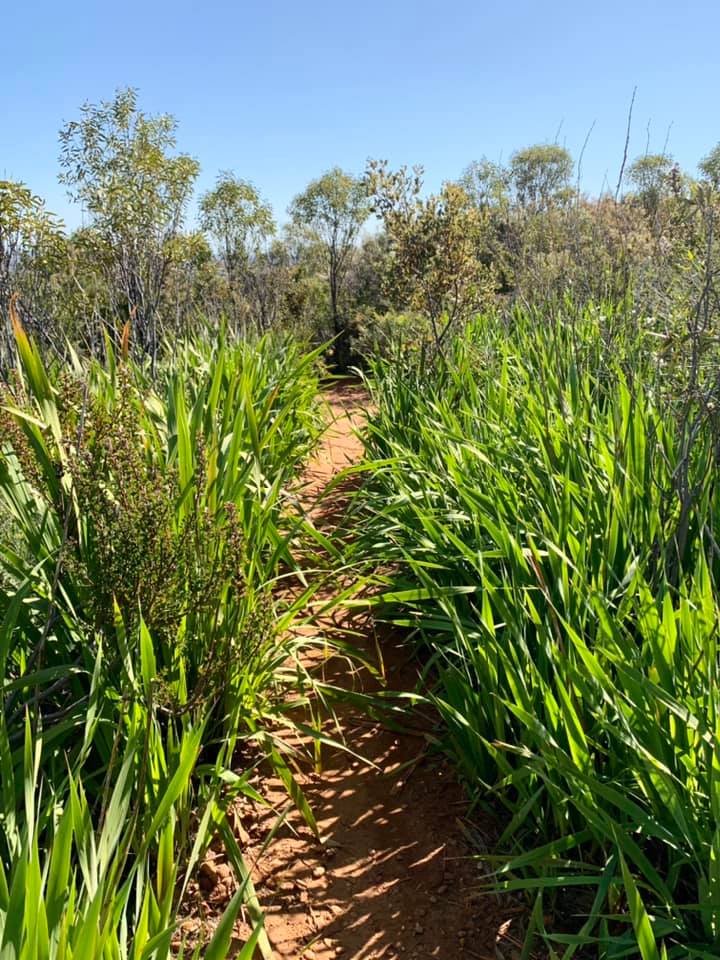 Lesmurdie Falls National Park