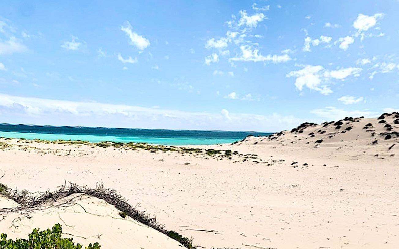 Shark Sanctuary, vue panoramique