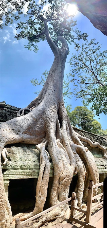 Angkor