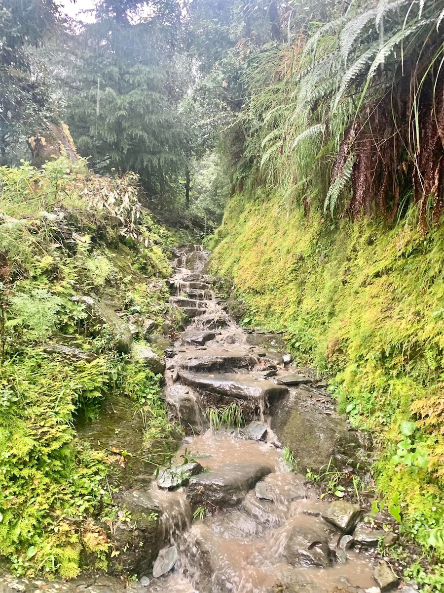 Environs de Dharamsala, Dharankot