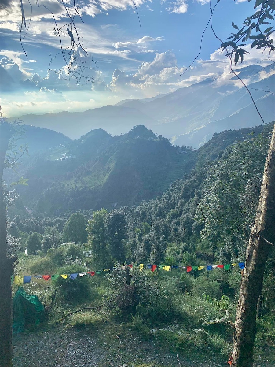 Environs de Dharamsala, panorama