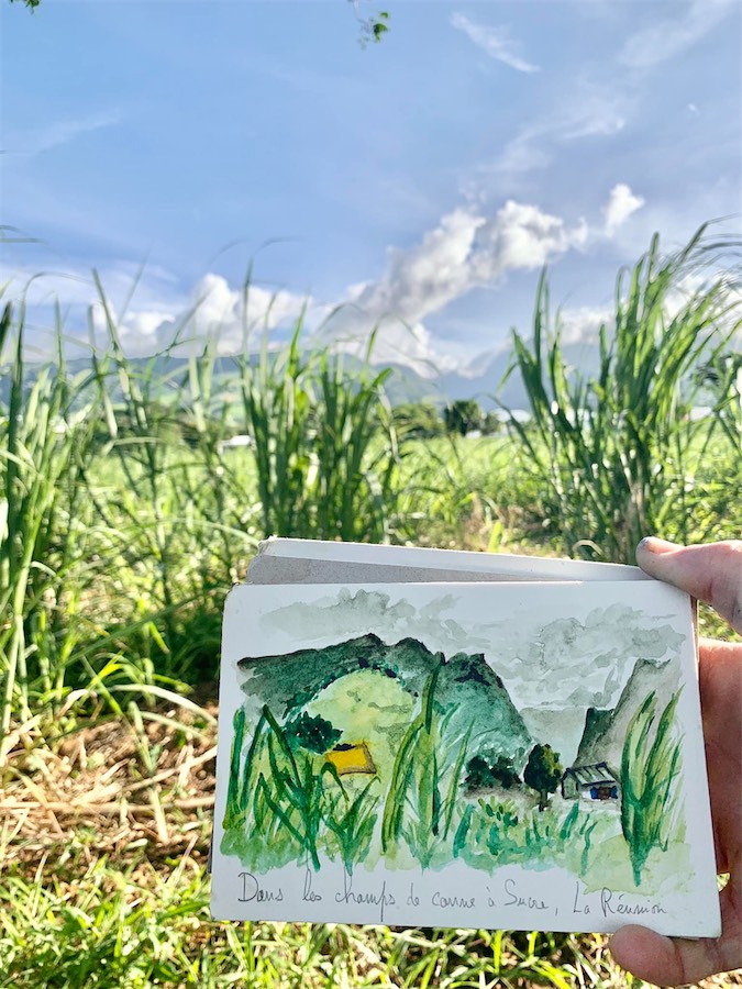 aquarelle représentant un paysage avec champs de canne à sucre au premier plan à Sainte-Marie - La Réunion