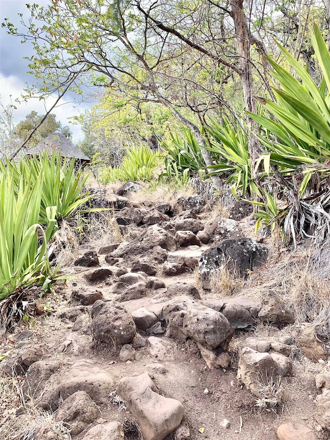 La Réunion, Saint-Denis, départ sentier du Brûlé