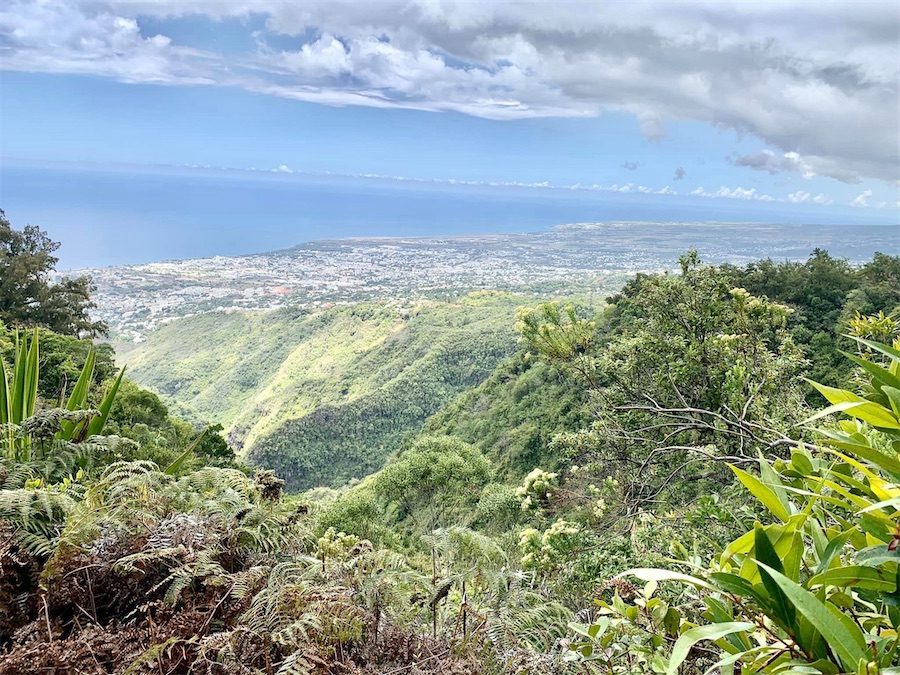 La Réunion, Saint-Denis, départ sentier du Brûlé