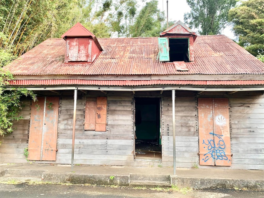 La Réunion, sentier du Brûlé, hérisson