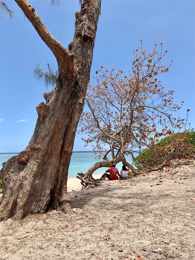 La Réunion, plage